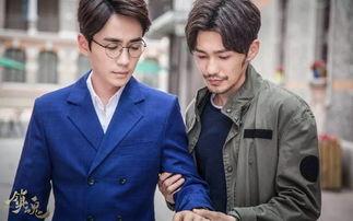 娱乐圈吃瓜电视剧,揭秘明星幕后真相与甜蜜爱情